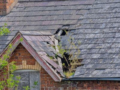 Professional water damage restoration services in Brampton